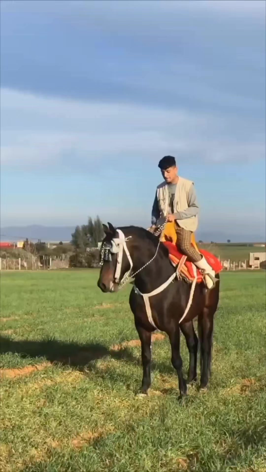 @Imad 🇮🇹