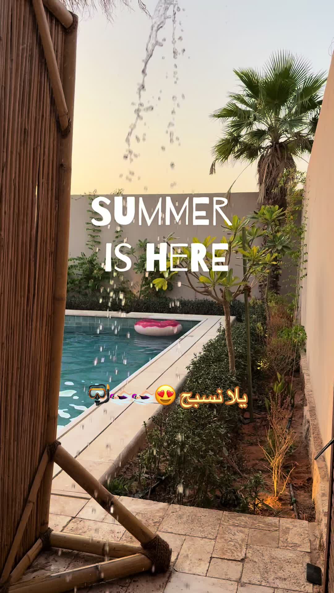 @Wejdan 🇸🇦🐪