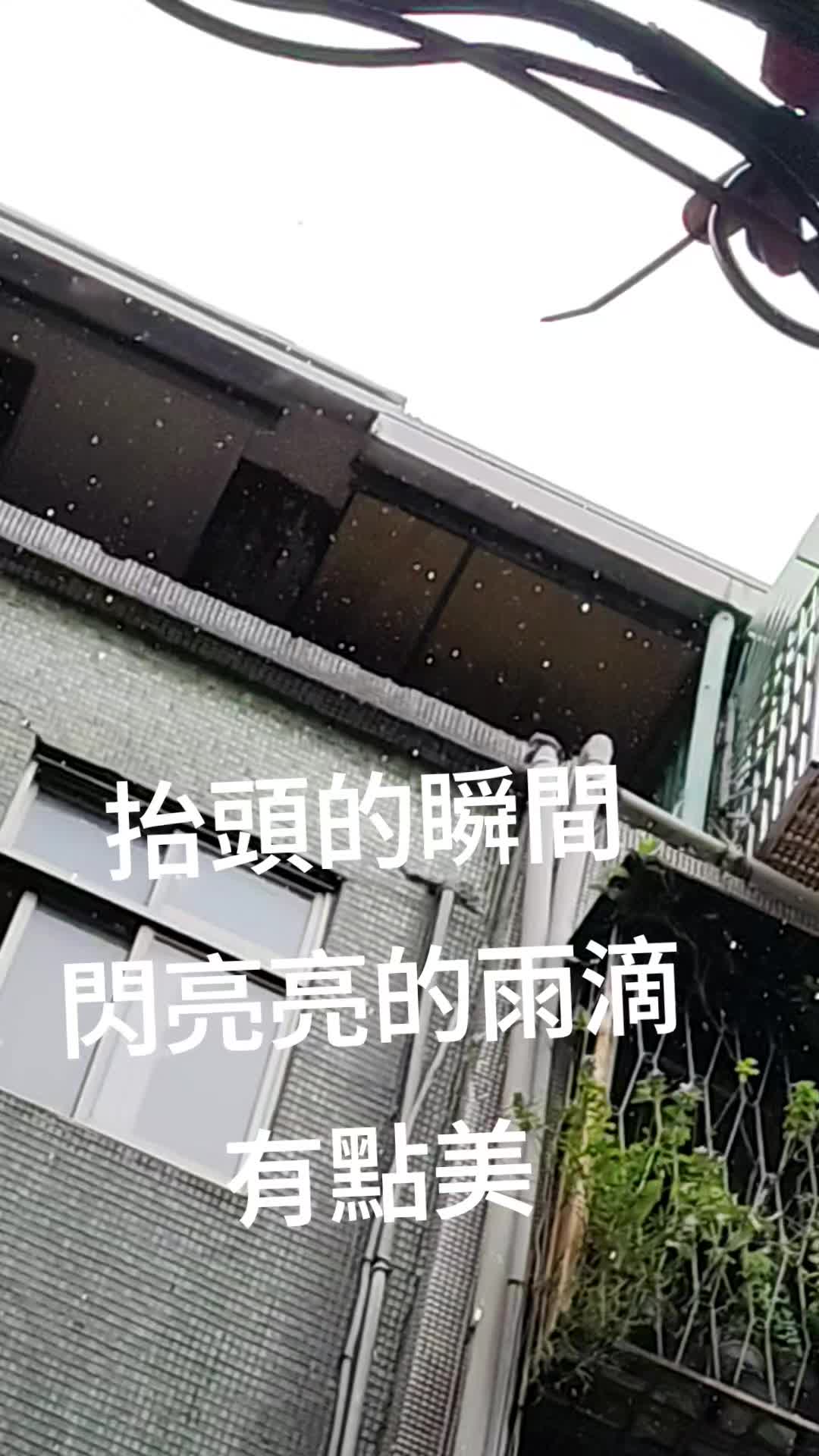 @好運蓮蓮