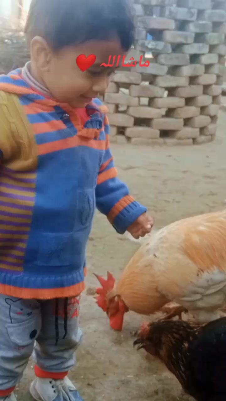 @𝙼𝚞𝚜𝚝𝚊𝚗𝚜𝚊𝚛