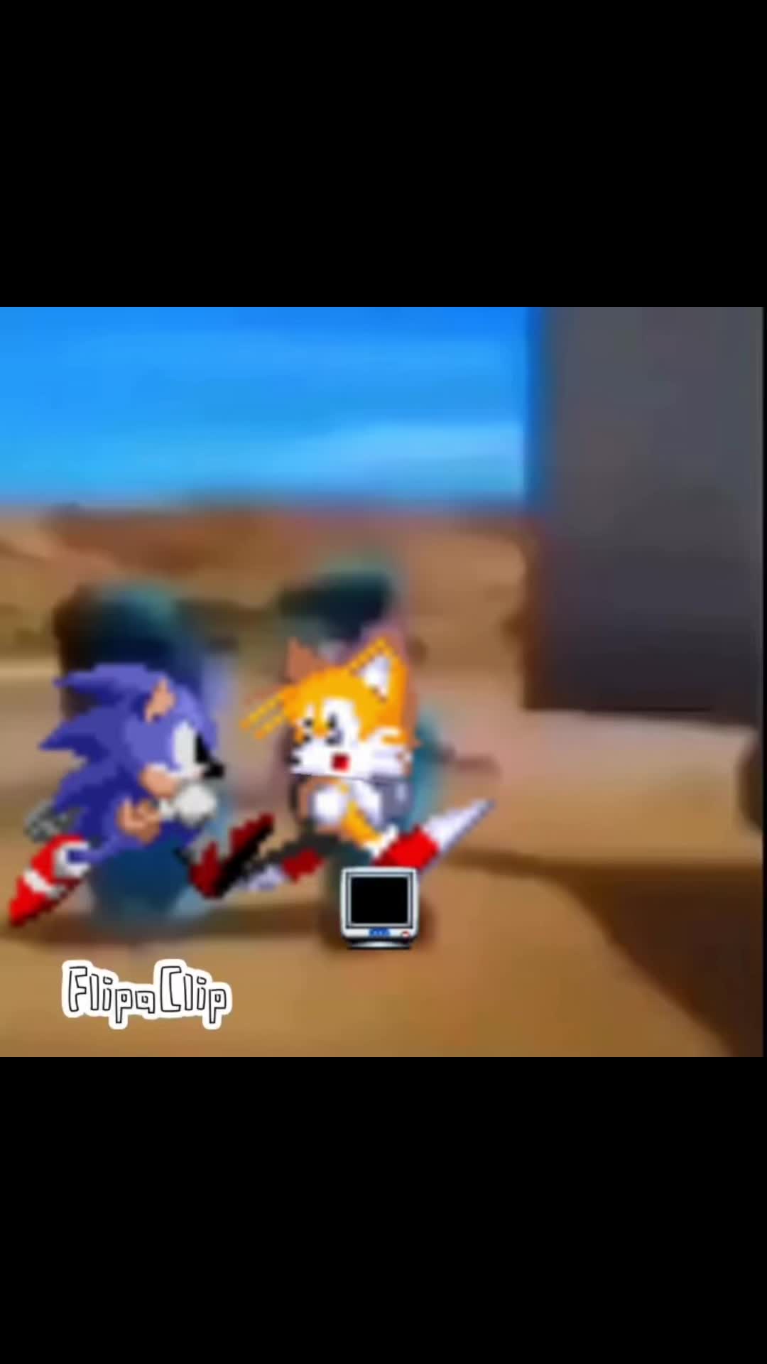 @Speedythehedgehog95⚡️🔥