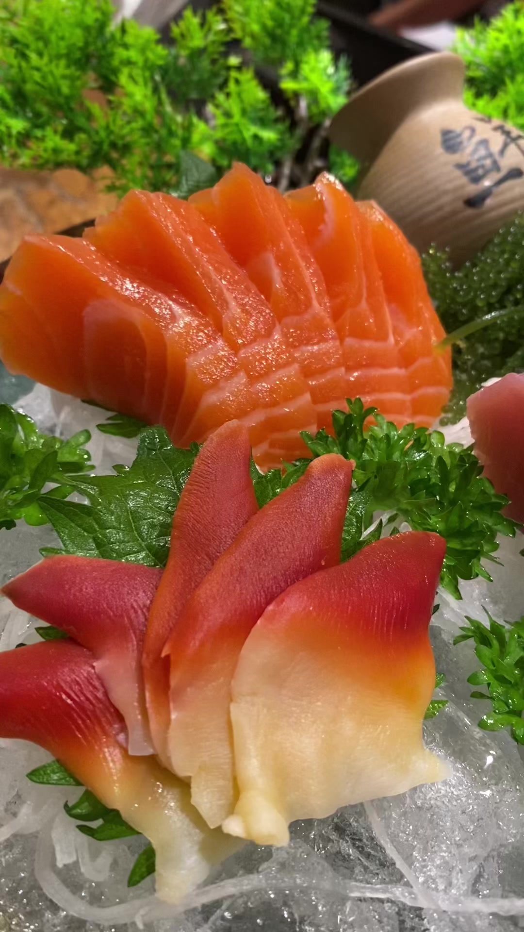 @Isushi_ Vincom Xu&acirc;n Kh&aacute;nh CT