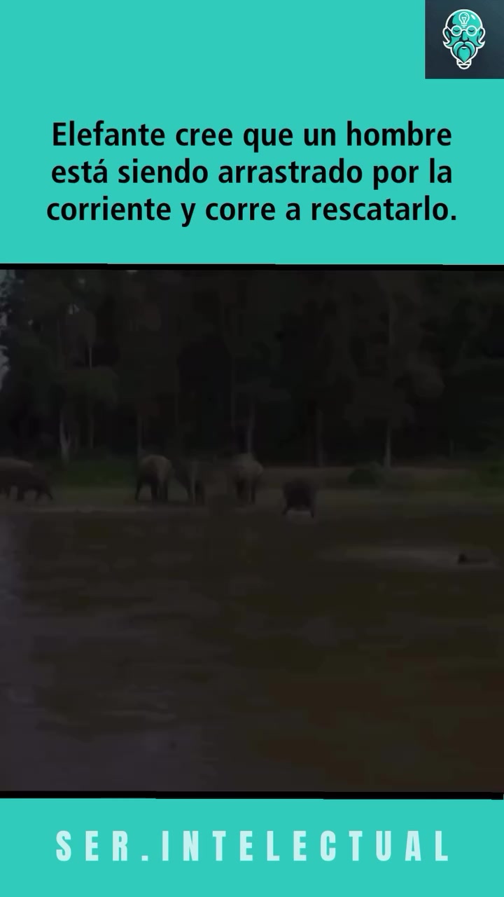 @Viviana Calabrese