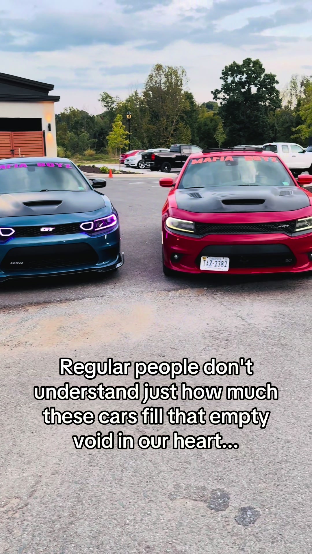 @3.6QUAN