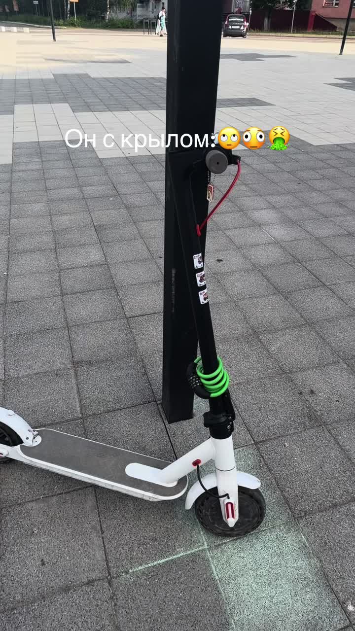 @🏚️STALKERSHA.666🚷