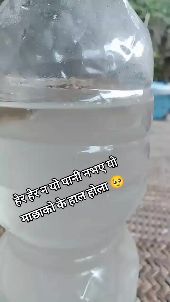 @Neyna Poudel