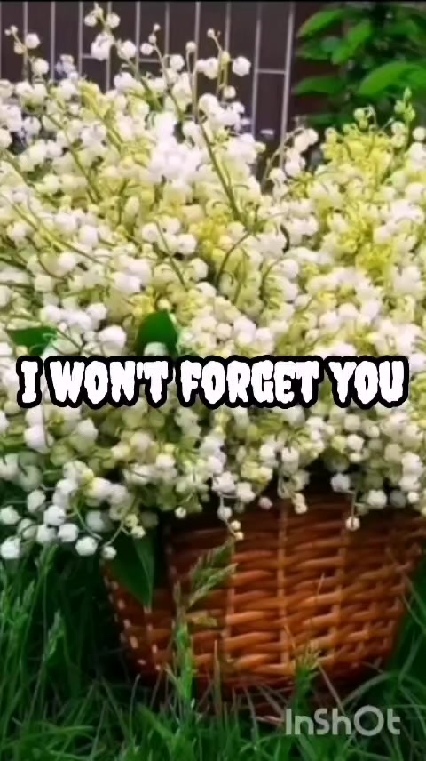 @djjvanrensburg