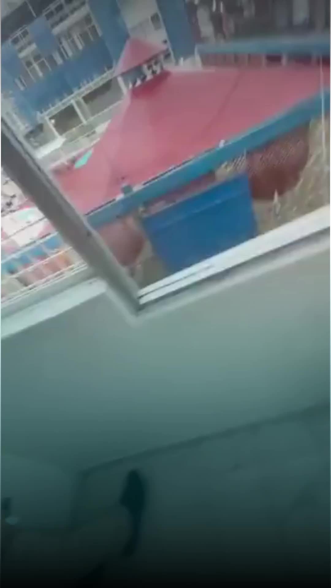@Entre líneas