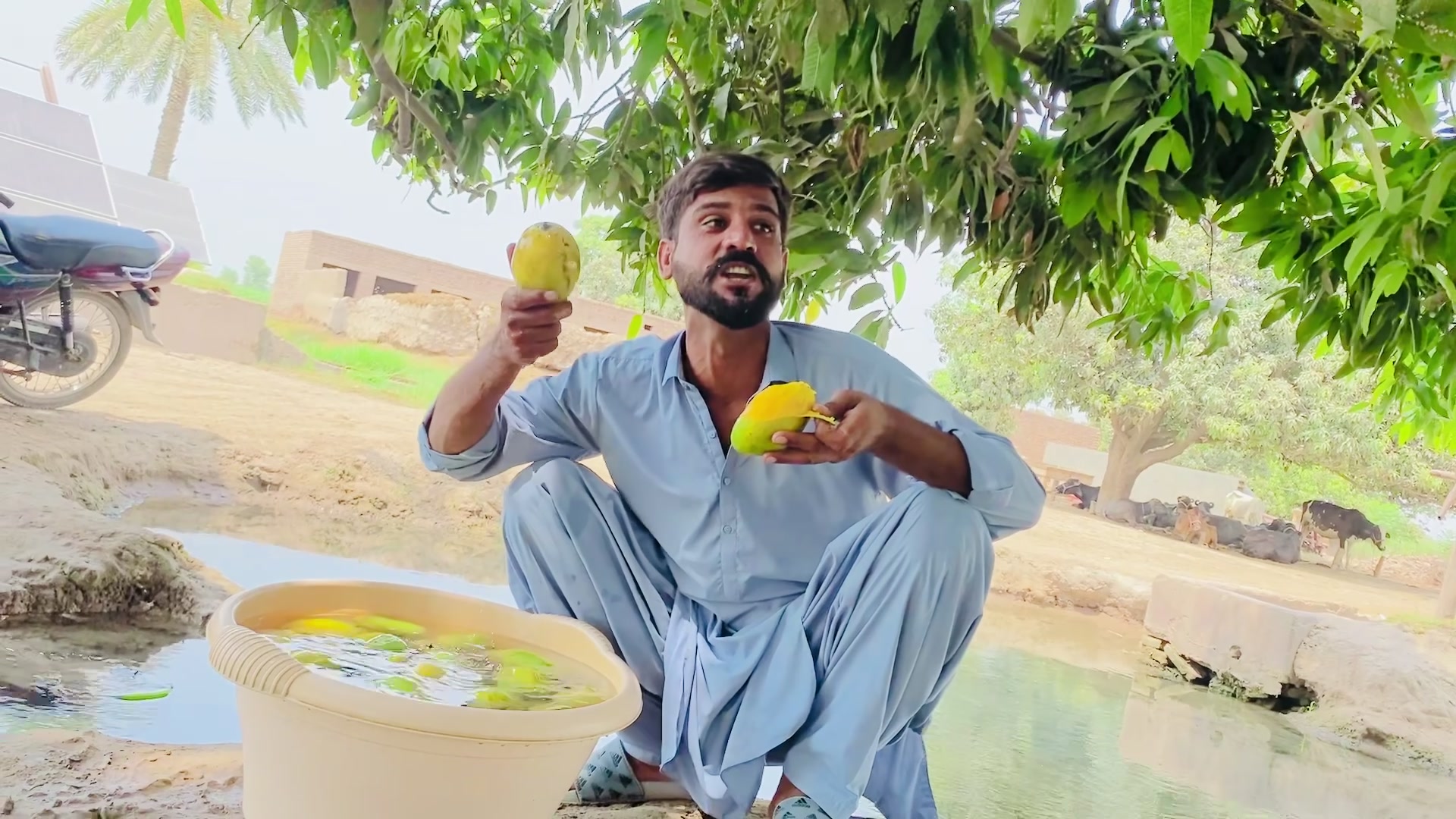 @Mahar Ajmal jutta
