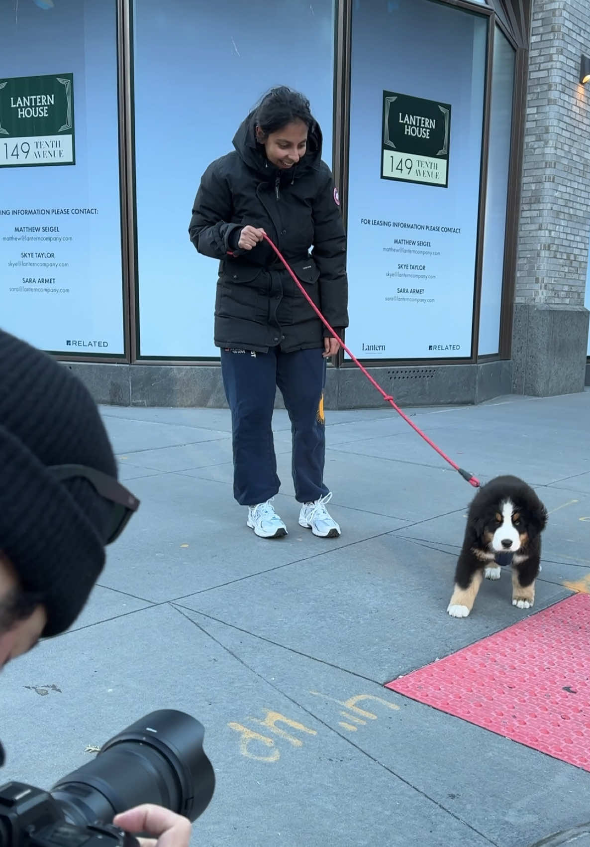 @The Dogist