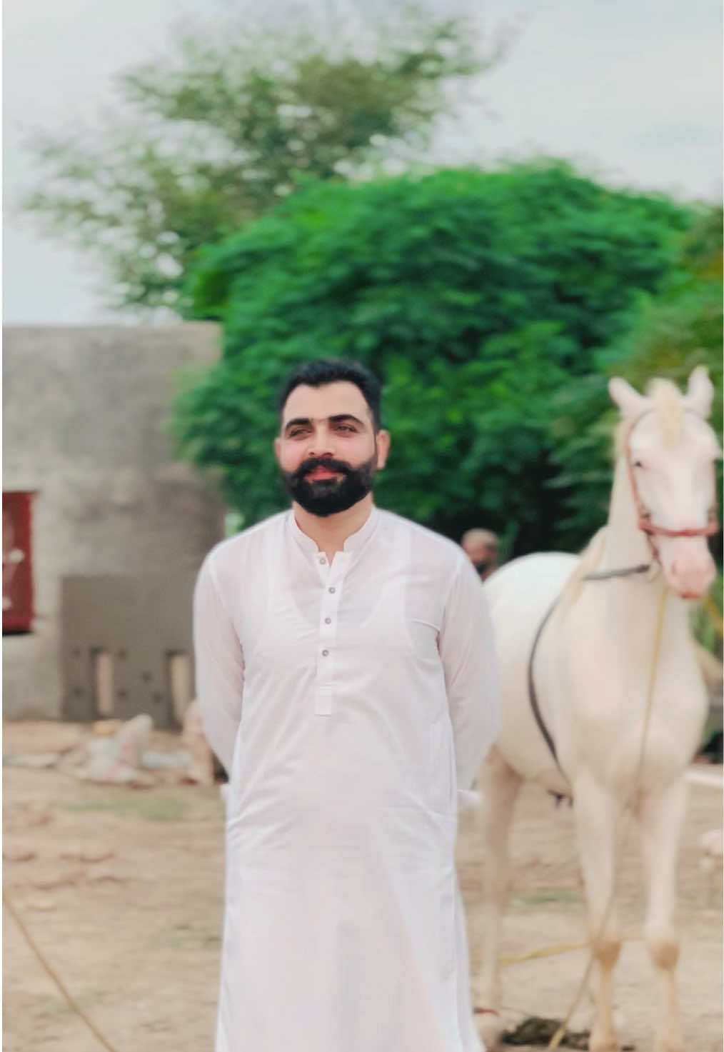 @Taimoor Shah