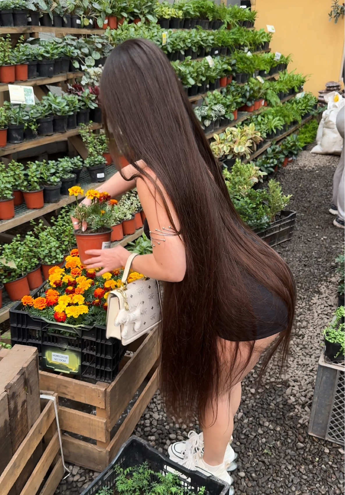 @Manu Carvajal