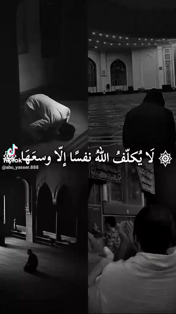 @🌹الاشاش ❤️&zwj;🔥💵