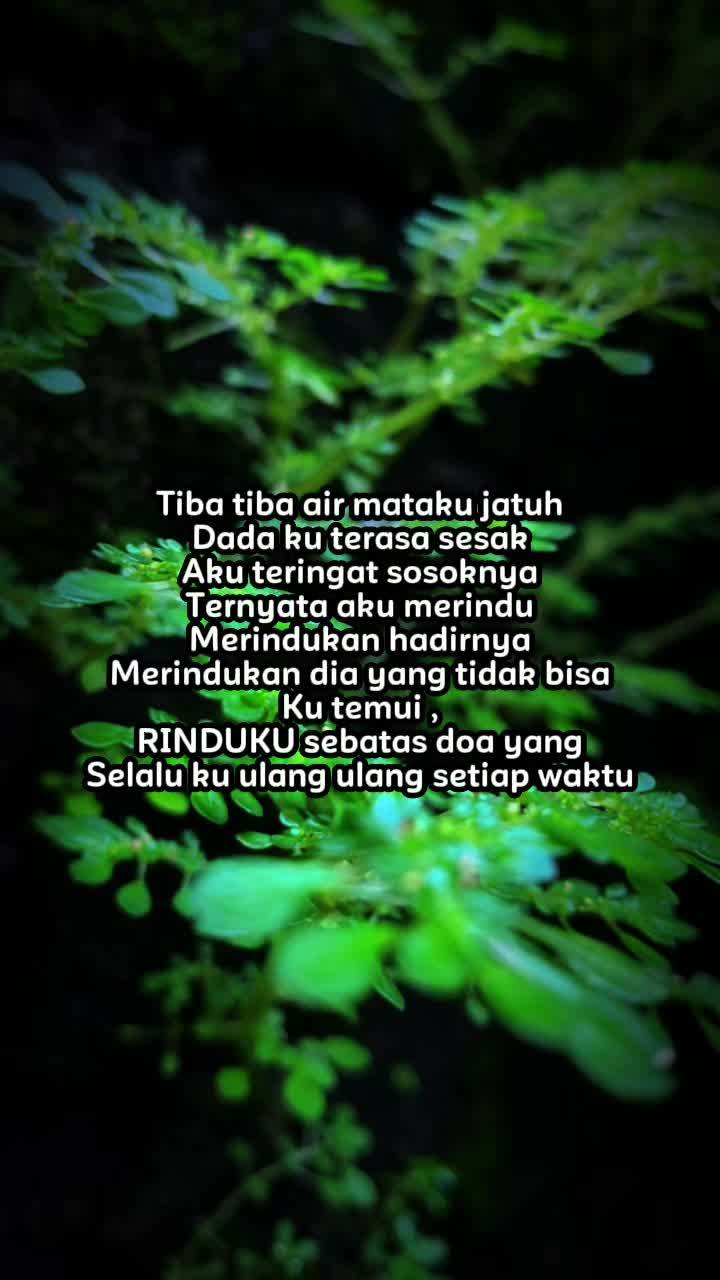 @sukasuka