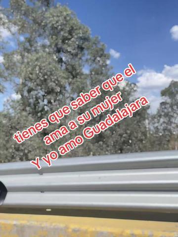 @🌴Briseño🐻❄️