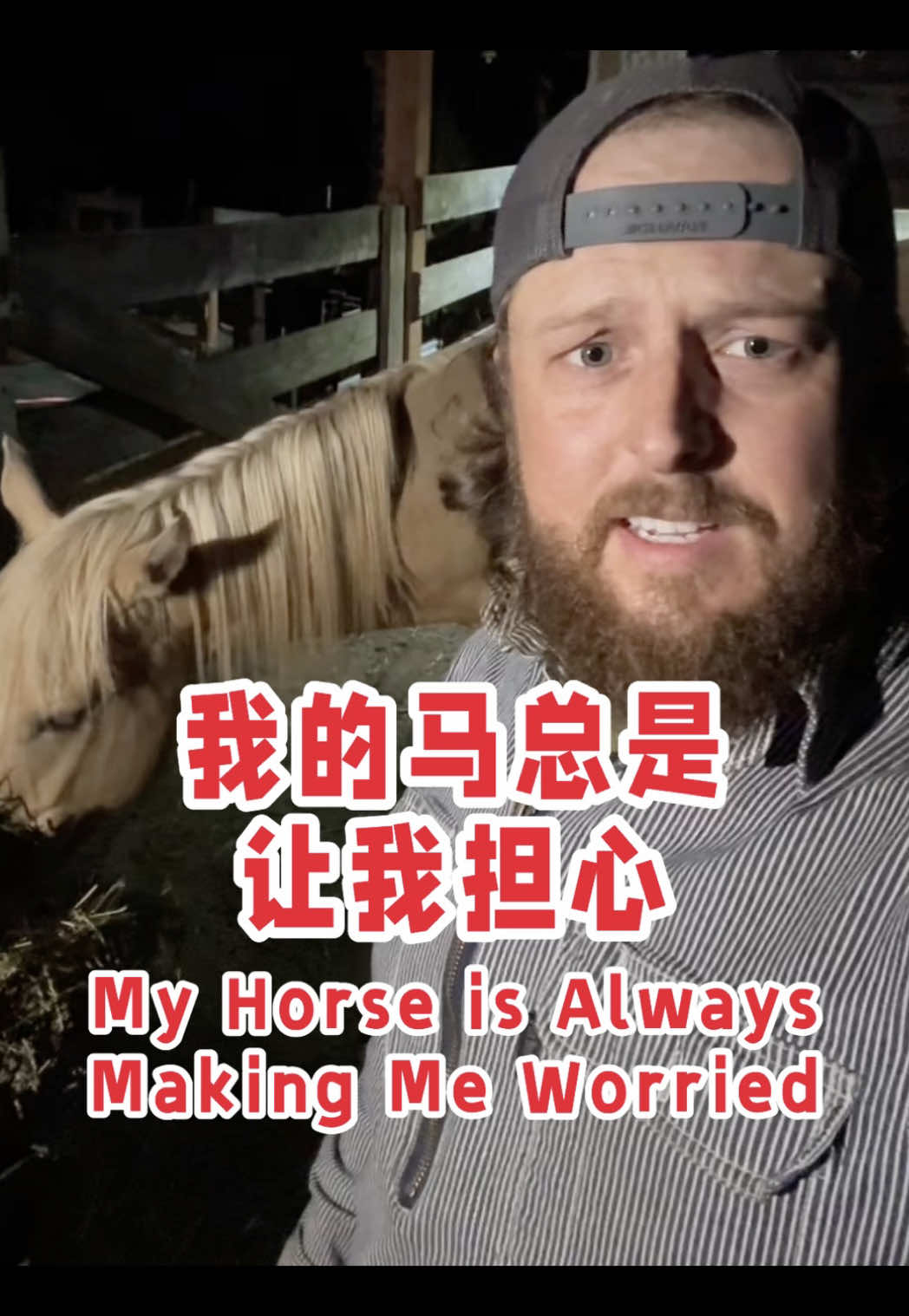 @大胡子牛仔 The Bearded Cowboy