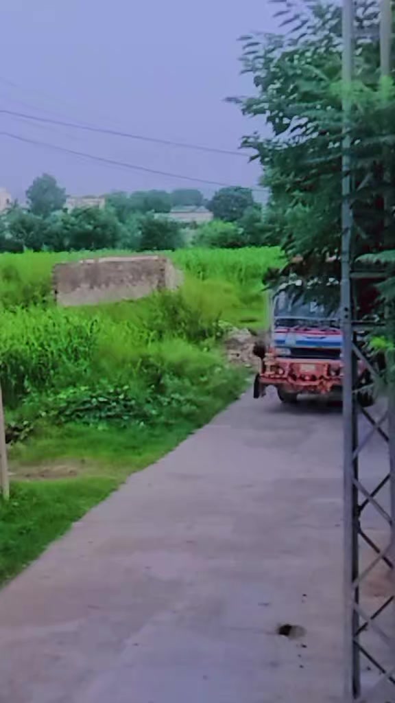 @گوندل._بادشاہ 🔥