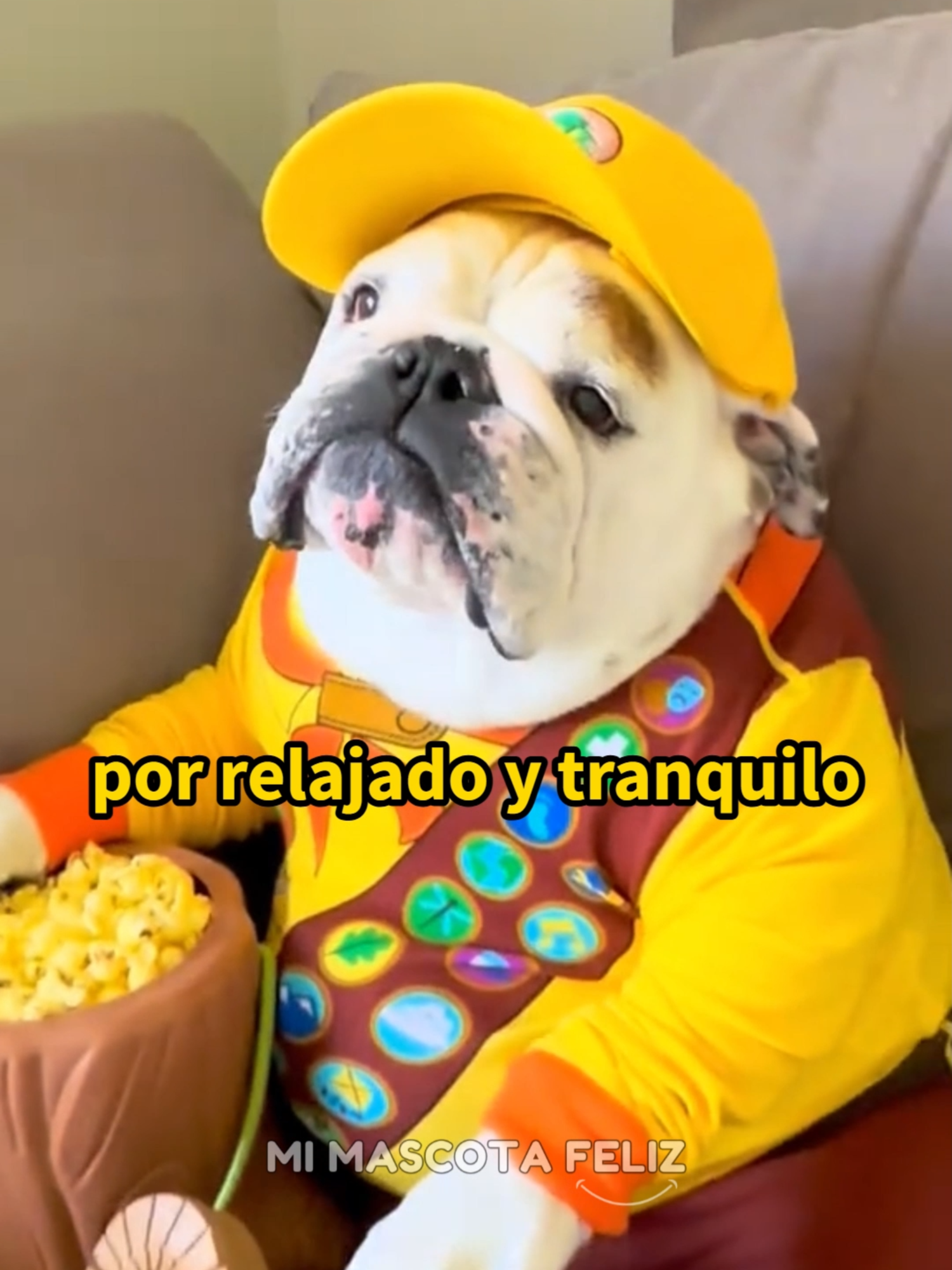 @Mi Mascota Feliz