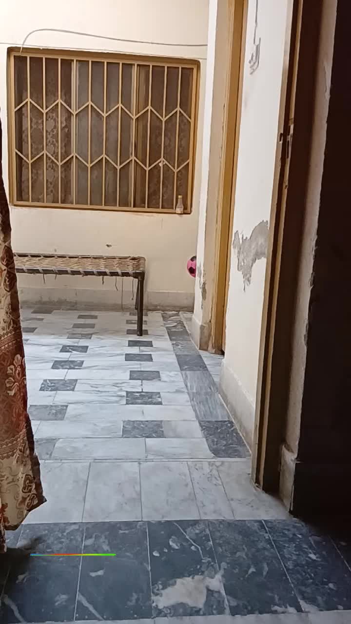 @Amir Ali Janjua 🇦🇪