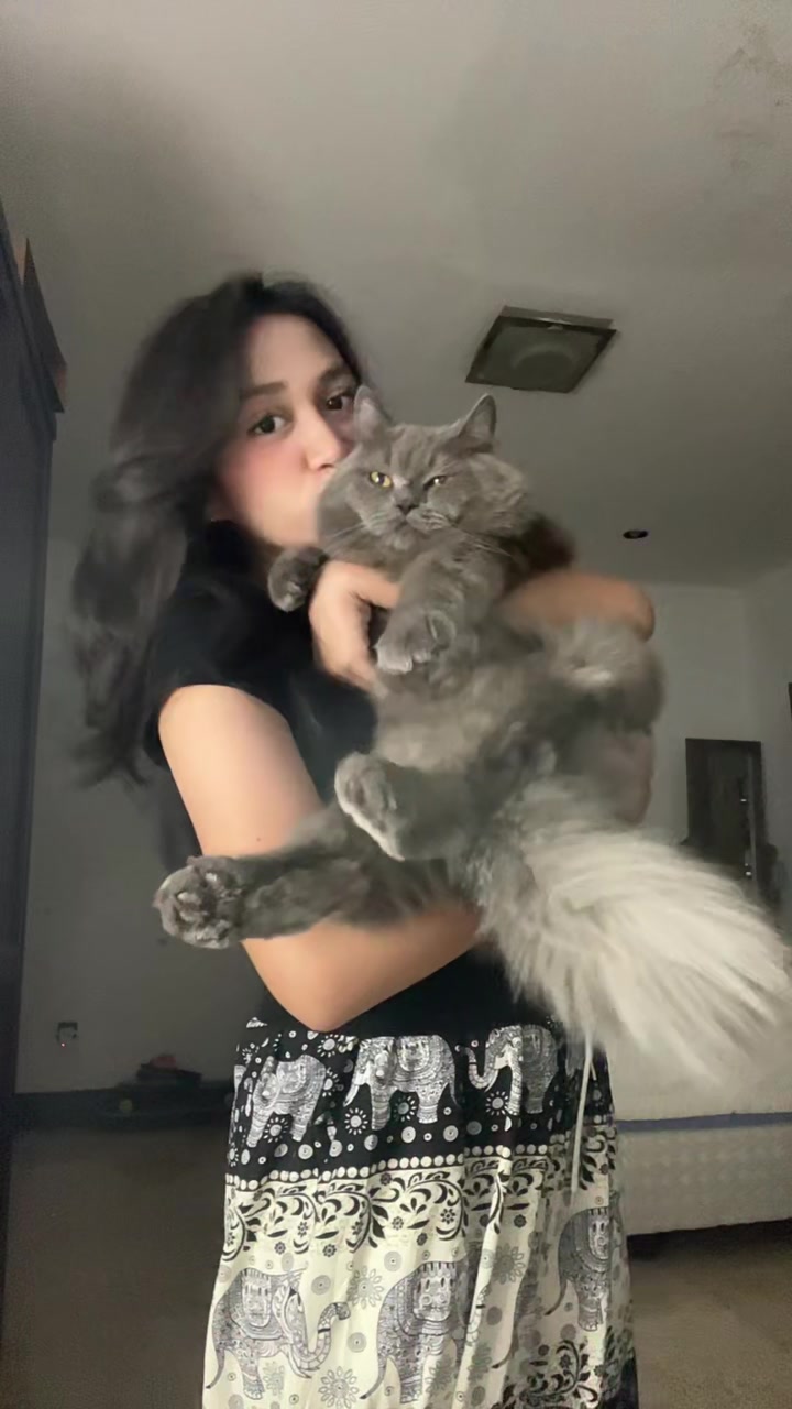 @🐆