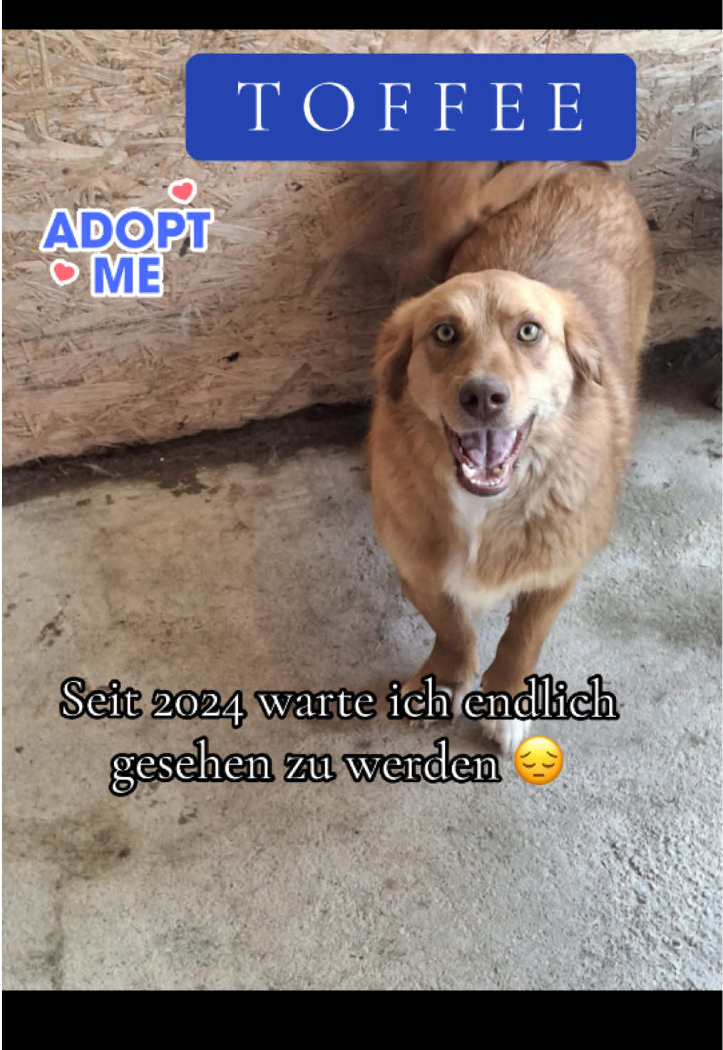 @Soulistas.Tierliebe
