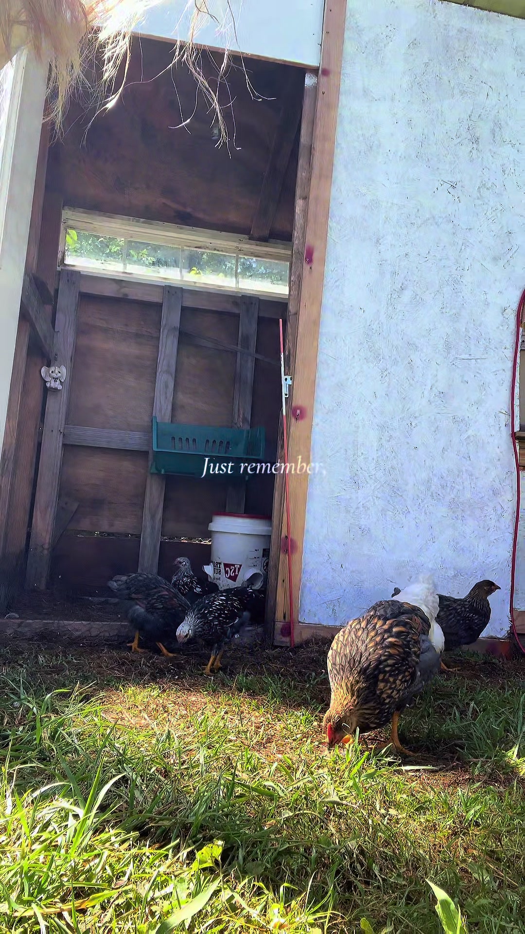 @FishTalesStories