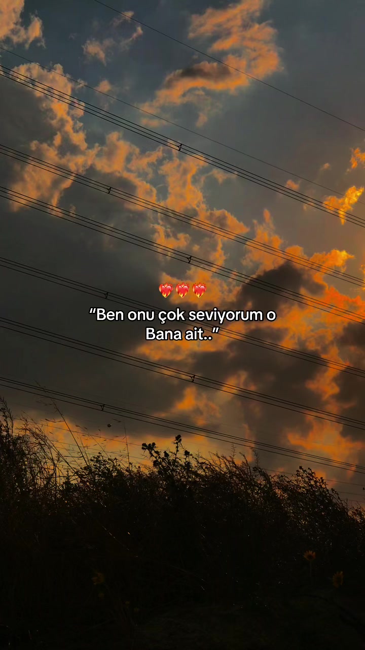 @𝑩&uuml;𝒏𝒚𝒂𝒎𝒊𝒏⚡️