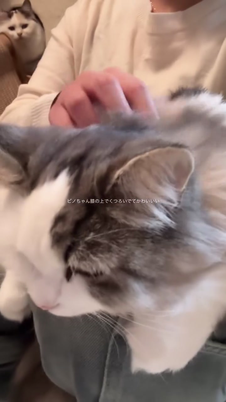 @ワタシの可愛い天使達💘