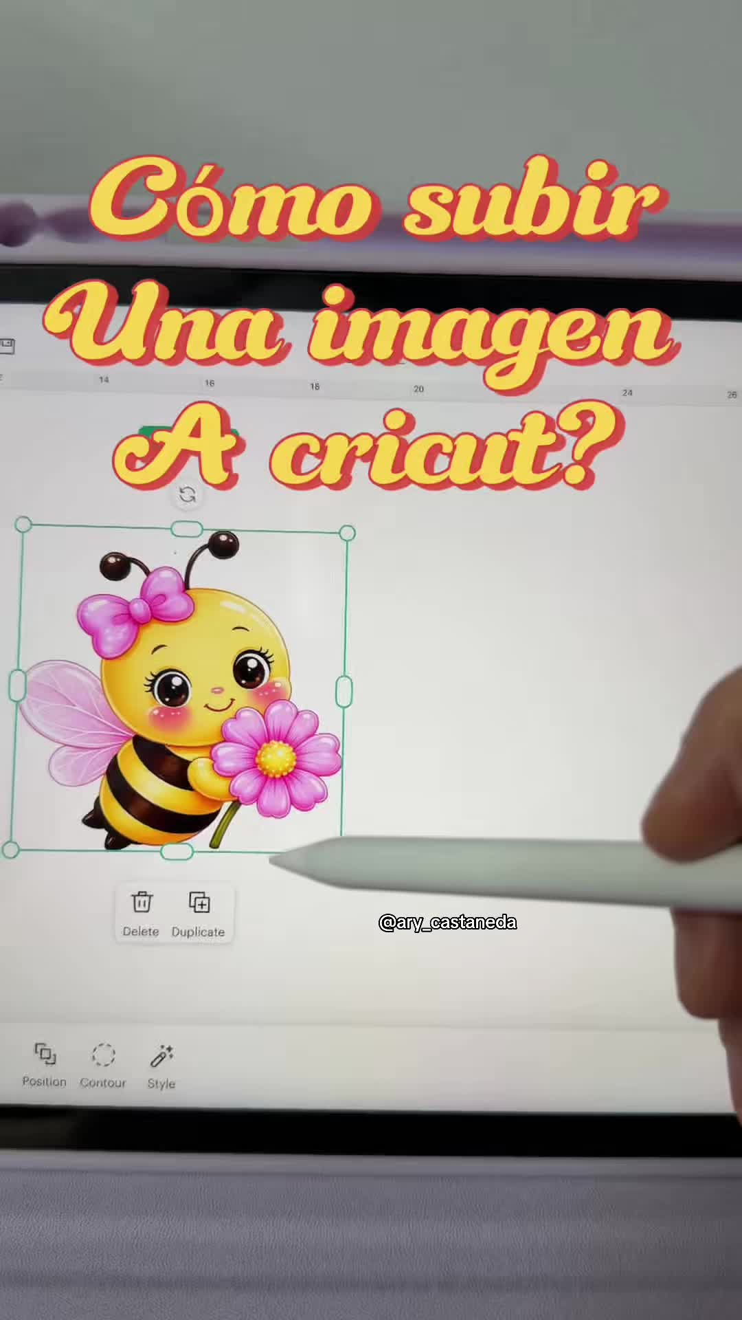 @ary_castanedan