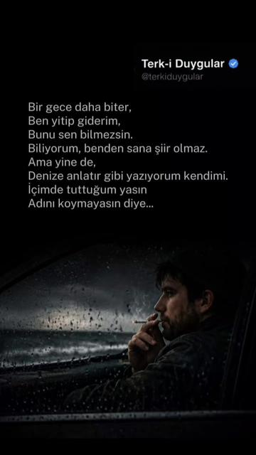 @Terk-i Duygular