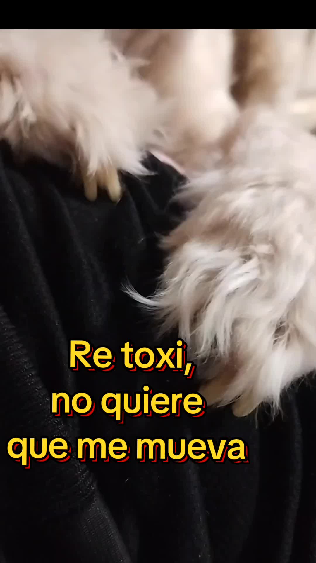 @Josh Franco