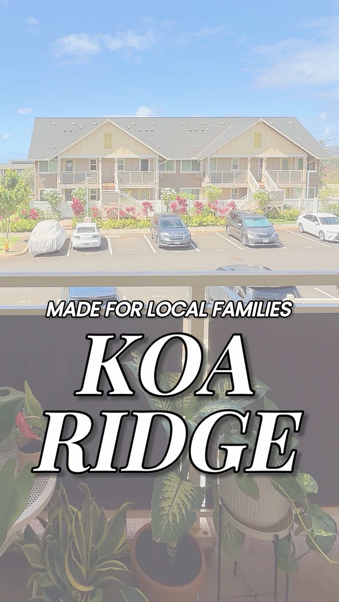 @Kristen Cabang 🌴 REALTOR®