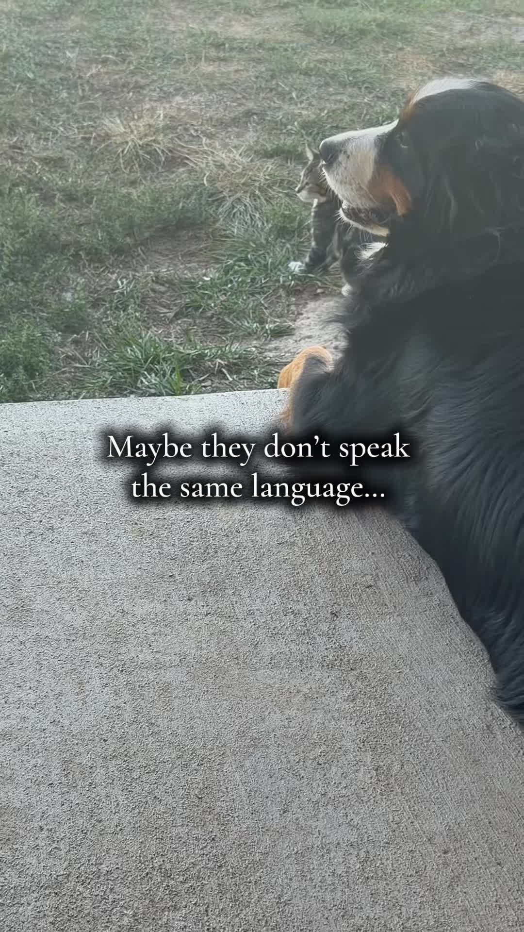 @🌻†HealthyHearted𝓂♡𝓂𝓂𝒶†🌻