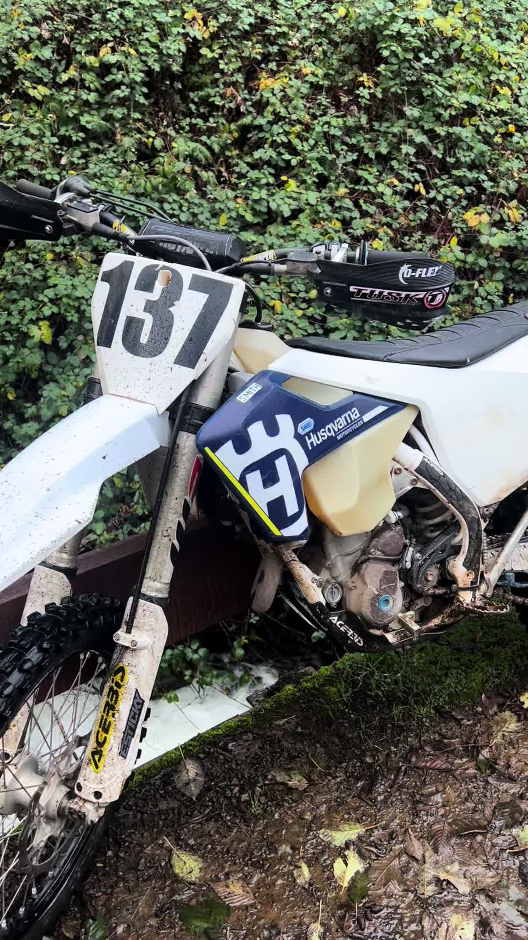 @rippin137