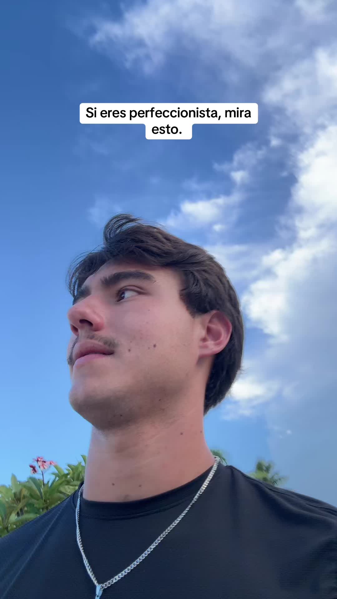 @mendiolaenusa