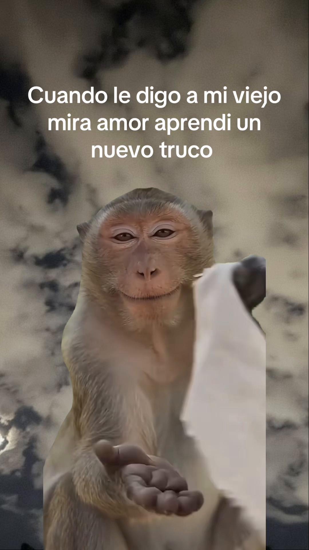 @Melissa Calzadillas