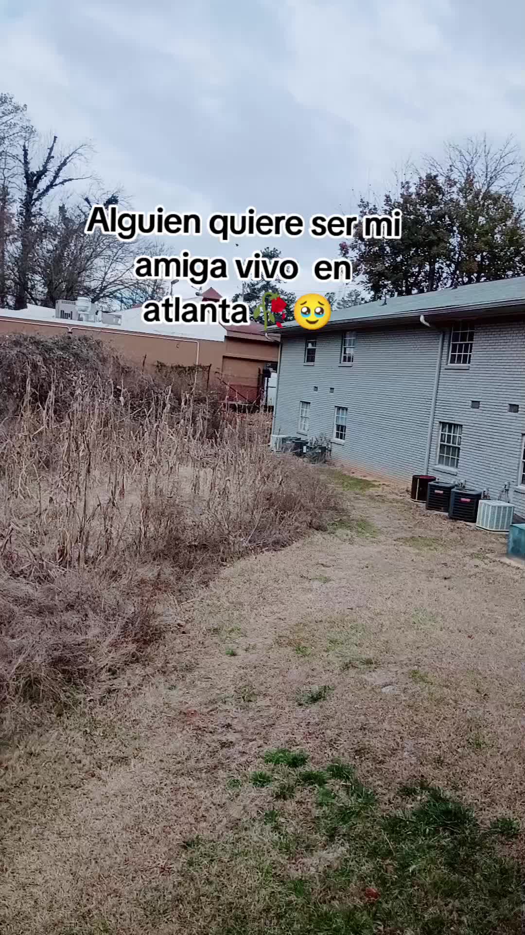 @Damiela Méndez