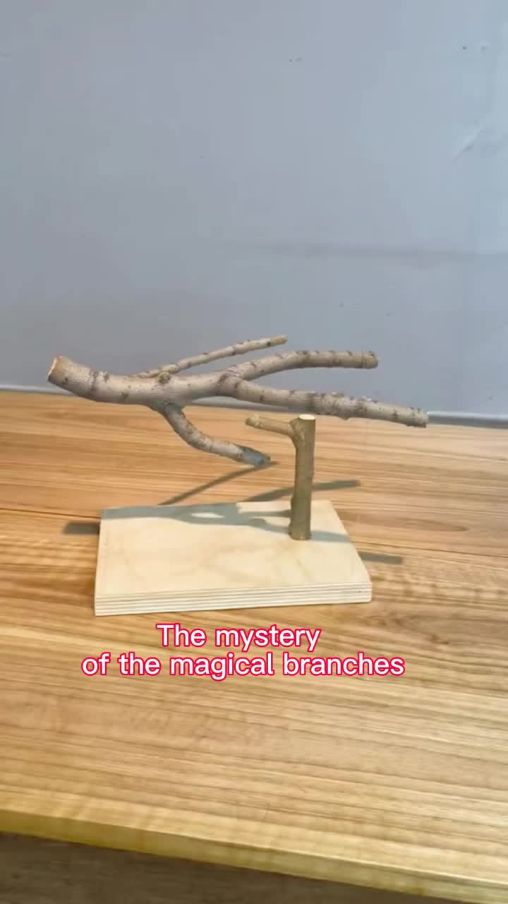 @SAY