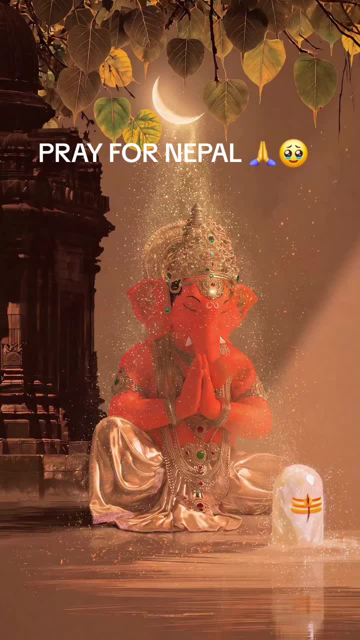 @nanushrestha763