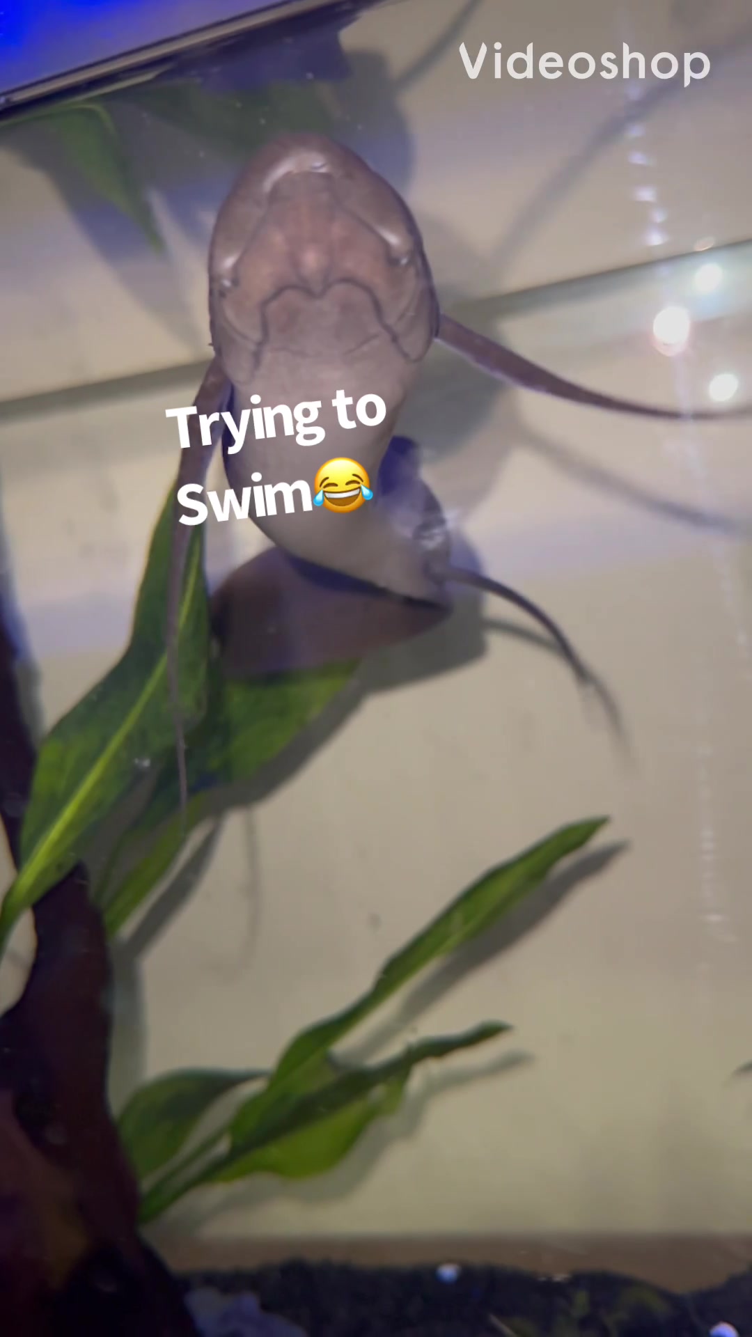@fishdaddy2002