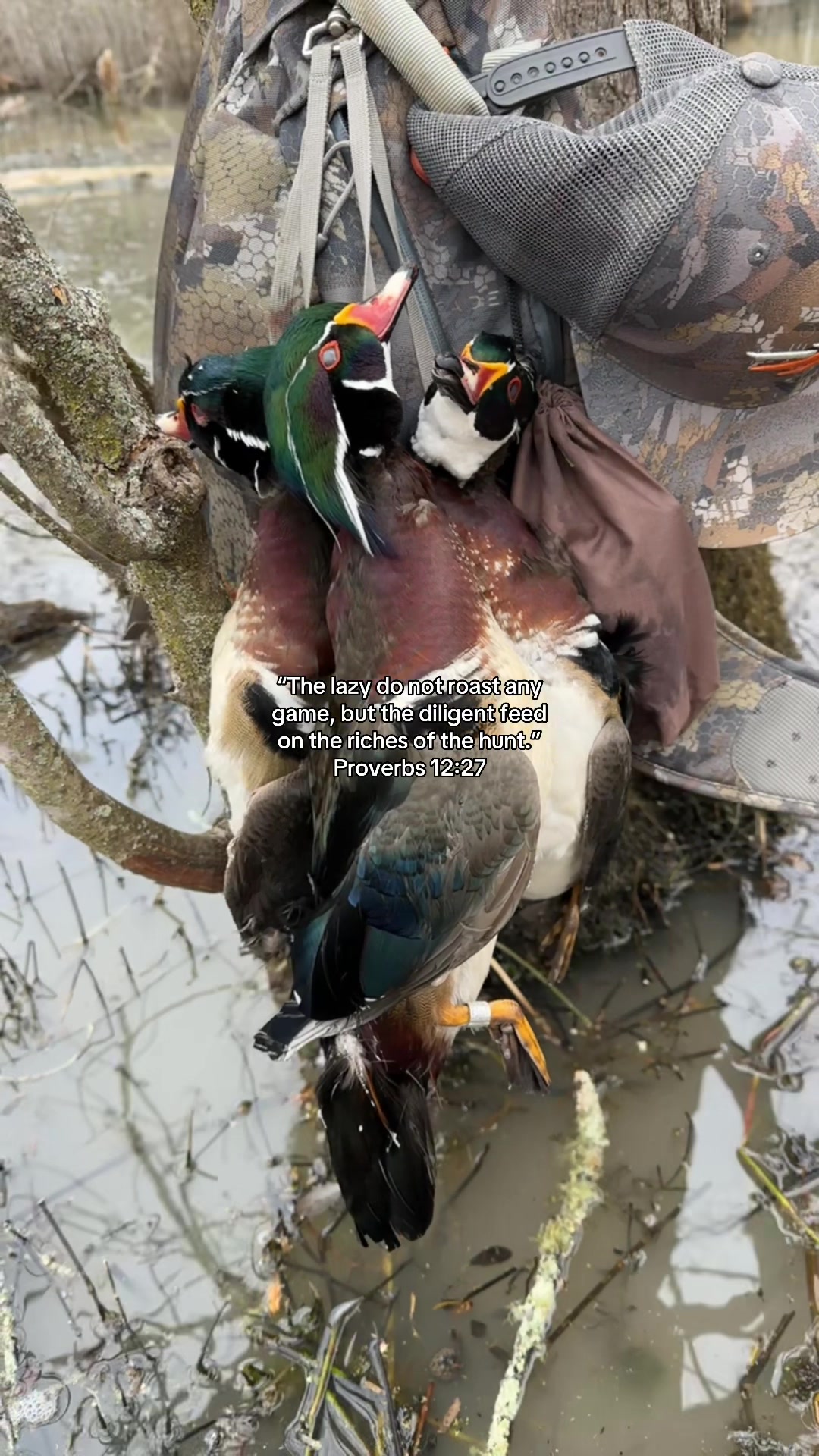 @Southeastern Outdoors