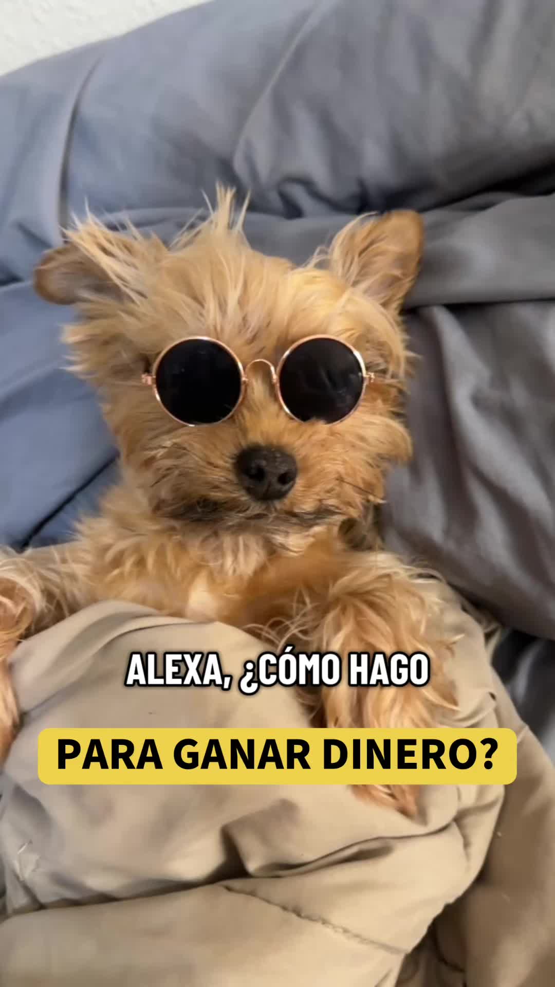 @mili_la_yorki