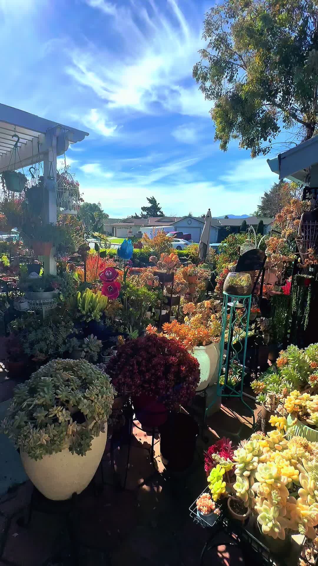 @euphoriablooms