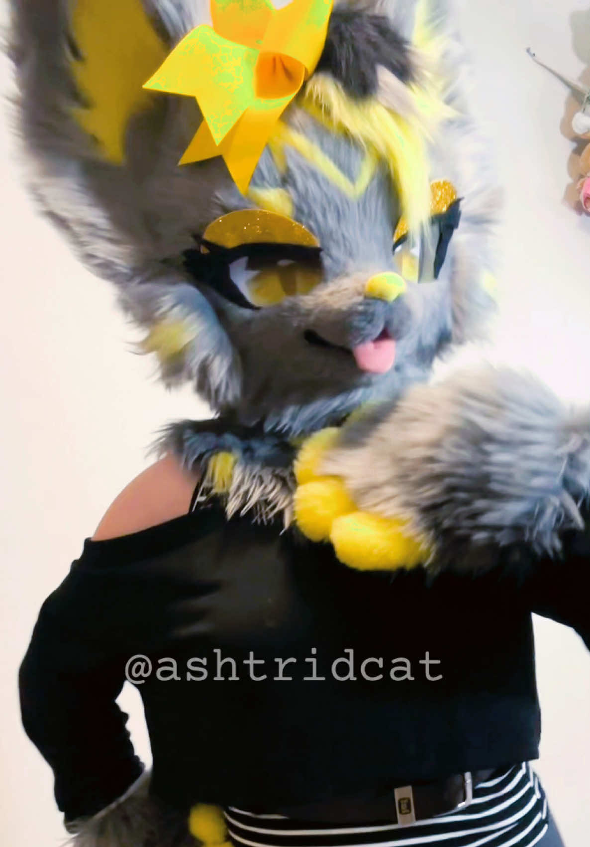 @AshtridCat