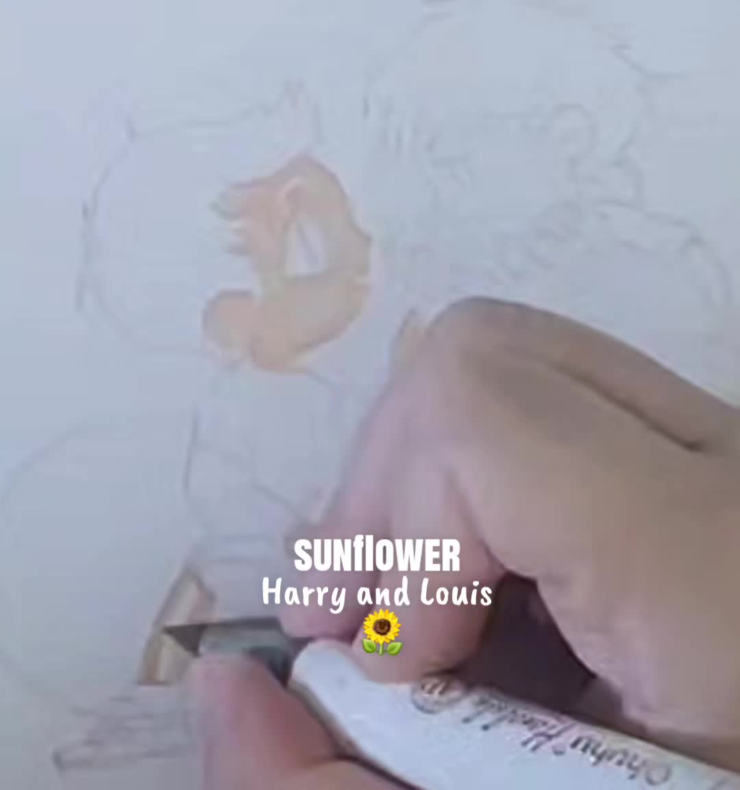 @Mandi 🎨