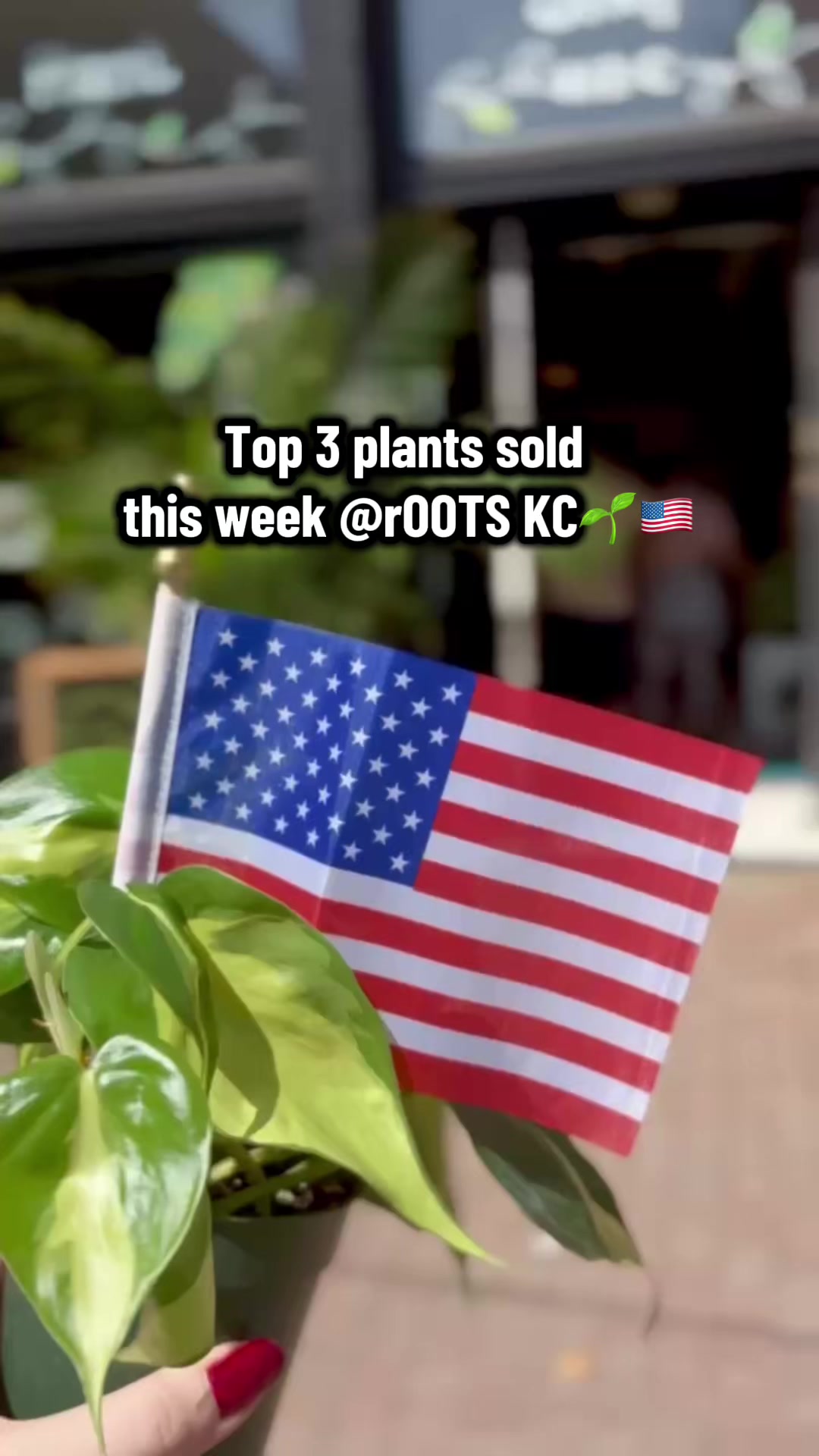 @Rootskc