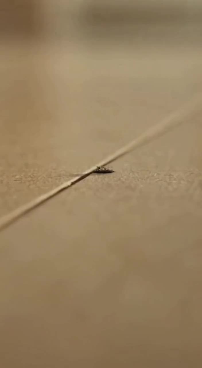 @TinyWorldTales