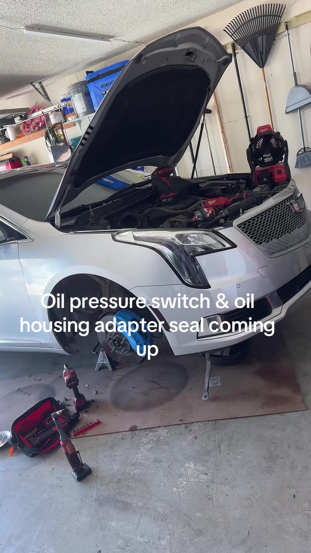 @WheelBoy