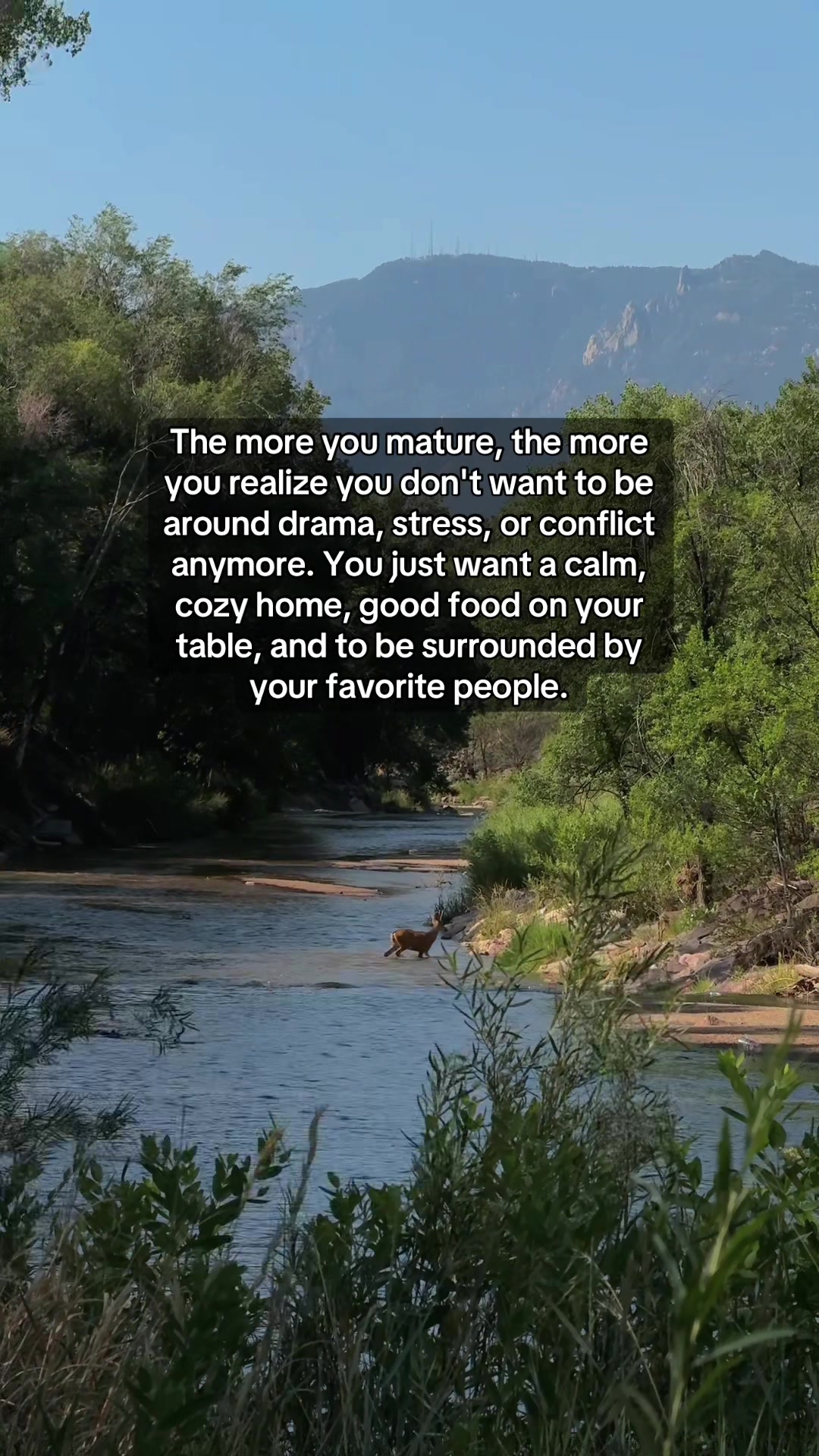 @HolisticHealingThoughts