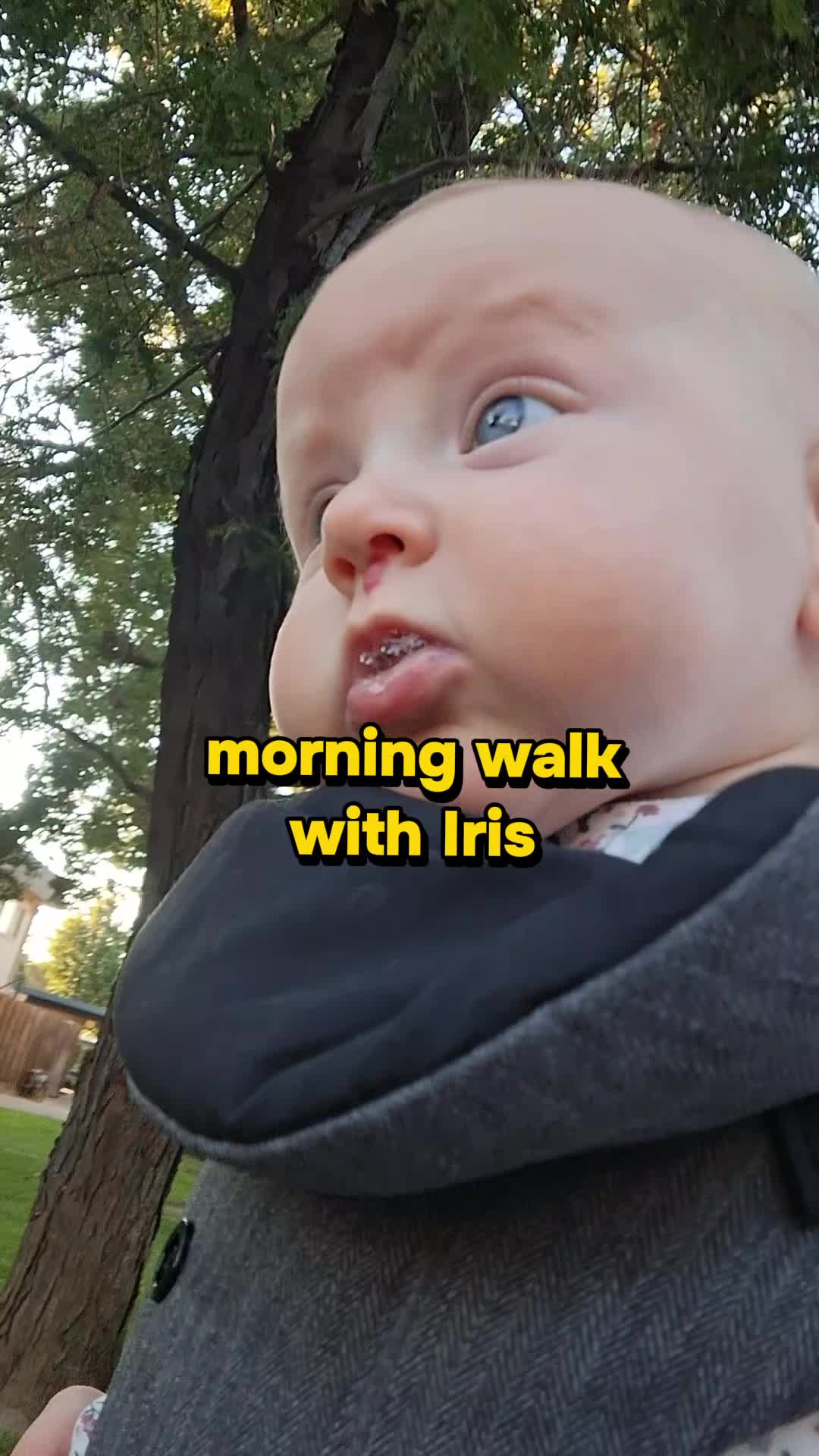 @Iris Pearl